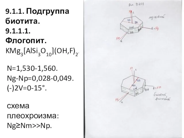 9.1.1. Подгруппа биотита. 9.1.1.1. Флогопит. KMg3[AlSi3O10](OH,F)2. N=1,530-1,560. Ng-Np=0,028-0,049. (-)2V=0-15°. схема плеохроизма: Ng≥Nm>>Np.