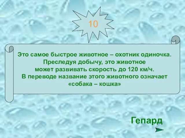 10 Это самое быстрое животное – охотник одиночка. Преследуя добычу,