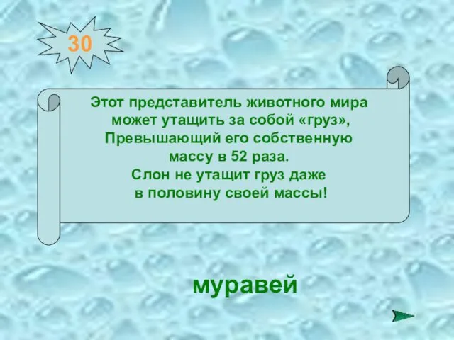 30 Этот представитель животного мира может утащить за собой «груз»,