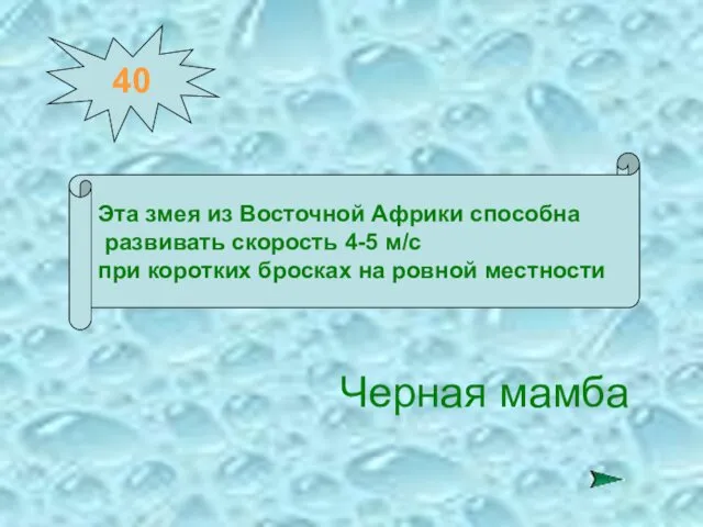 40 Эта змея из Восточной Африки способна развивать скорость 4-5