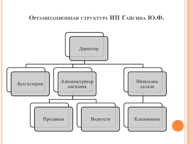 Организационная структура ИП Гайсина Ю.Ф.