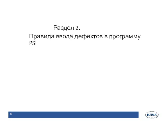 Раздел 2. Правила ввода дефектов в программу PSI