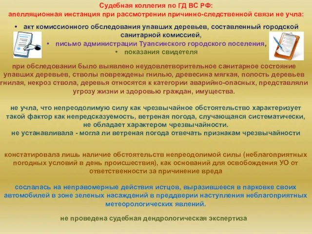 не проведена судебная дендрологическая экспертиза Судебная коллегия по ГД ВС РФ: апелляционная инстанция