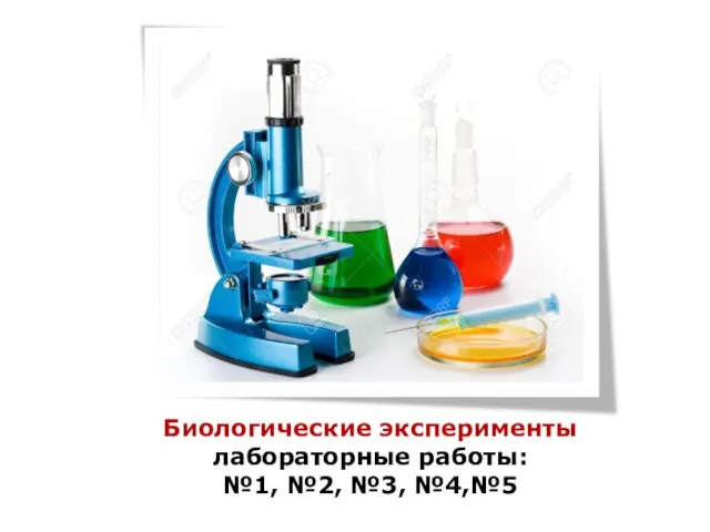 Биологические эксперименты лабораторные работы: №1, №2, №3, №4,№5