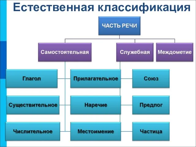 Естественная классификация