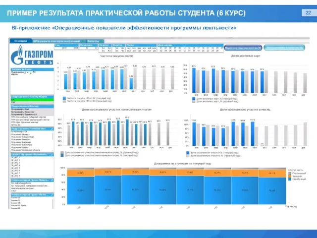 ПРИМЕР РЕЗУЛЬТАТА ПРАКТИЧЕСКОЙ РАБОТЫ СТУДЕНТА (6 КУРС) BI-приложение «Операционные показатели эффективности программы лояльности»