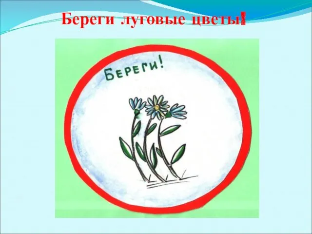 Береги луговые цветы!