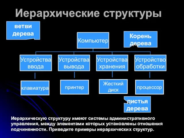 Иерархические структуры Иерархическую структуру имеют системы административного управления, между элементами