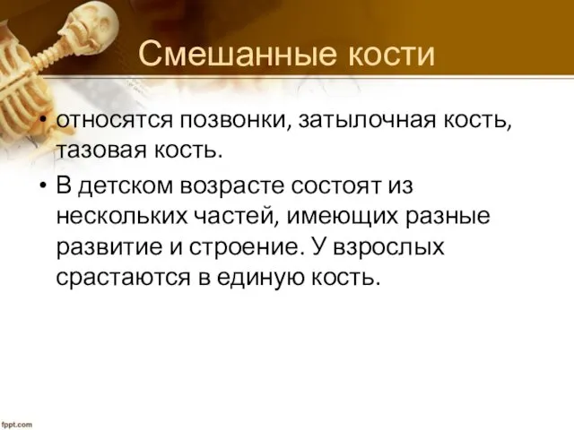 Смешанные кости относятся позвонки, затылочная кость, тазовая кость. В детском