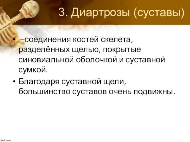 3. Диартрозы (суставы) –соединения костей скелета, разделённых щелью, покрытые синовиальной