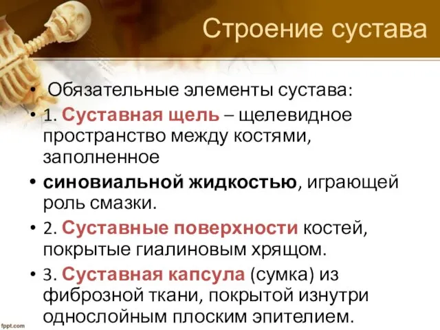 Строение сустава Обязательные элементы сустава: 1. Суставная щель – щелевидное