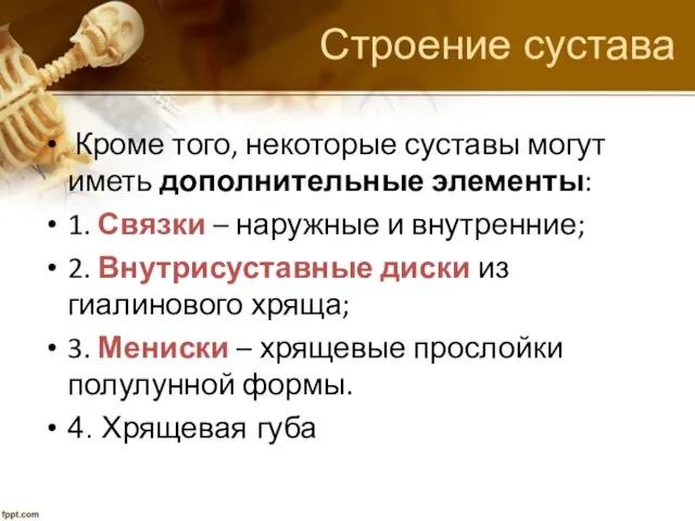 Строение сустава Кроме того, некоторые суставы могут иметь дополнительные элементы: