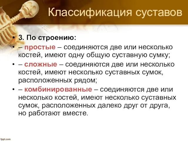 Классификация суставов 3. По строению: – простые – соединяются две