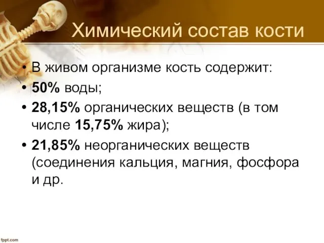 Химический состав кости В живом организме кость содержит: 50% воды;