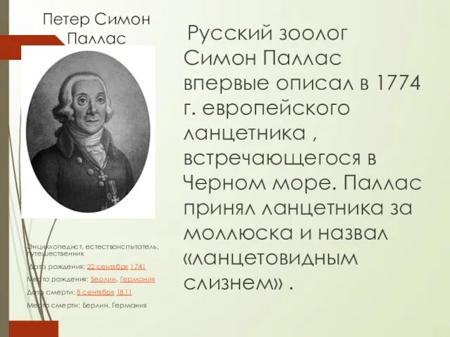 Петер Симон Паллас Русский зоолог Симон Паллас впервые описал в