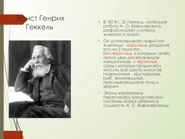 Эрнст Генрих Геккель В 1874 г. Э. Геккель, используя работу