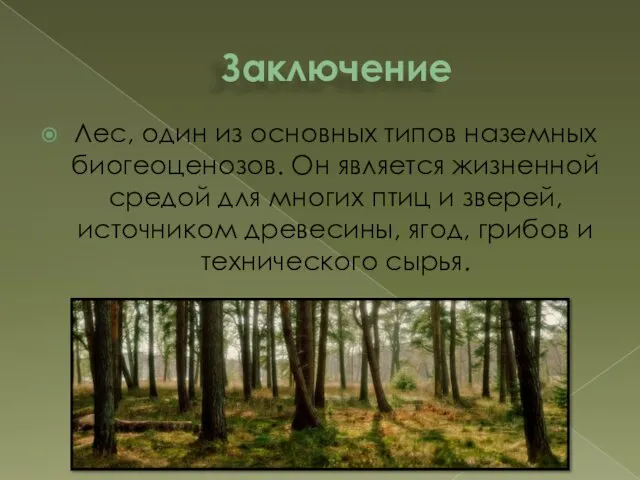 Заключение Лес, один из основных типов наземных биогеоценозов. Он является