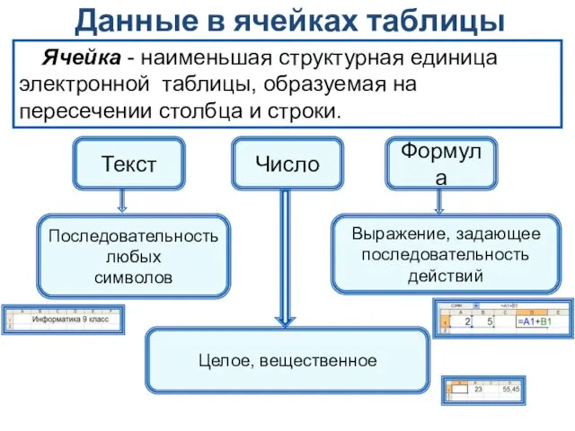 Данные в ячейках таблицы Ячейка - наименьшая структурная единица электронной