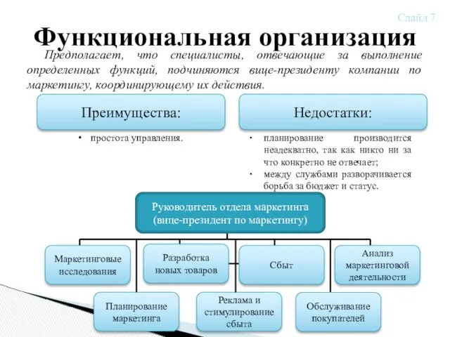 Предполагает, что специалисты, отвечающие за выполнение определенных функций, подчиняются вице-президенту