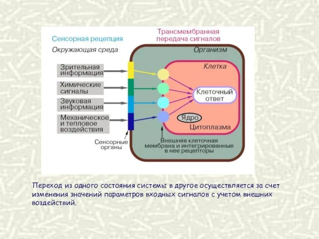 Переход из одного состояния системы в другое осуществляется за счет