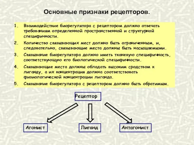 Взаимодействие биорегулятора с рецептором должно отвечать требованиям определенной пространственной и