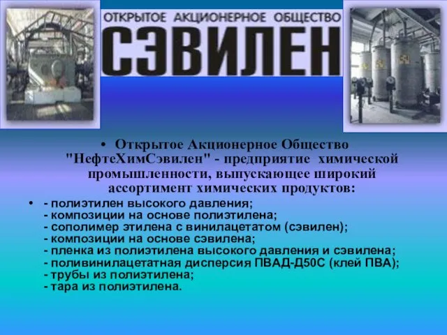 Открытое Акционерное Общество "НефтеХимСэвилен" - предприятие химической промышленности, выпускающее широкий