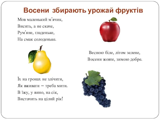 Восени збирають урожай фруктів Мов маленький м’ячик, Висить, а не скаче, Рум’яне, гладеньке,