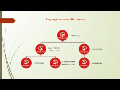 Структура магазина «Пятерочка»