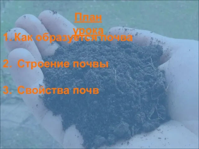 План урока Как образуется почва Строение почвы Свойства почв