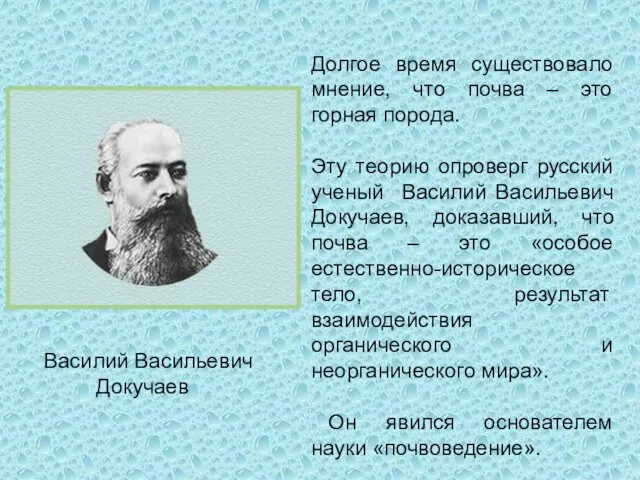 Долгое время существовало мнение, что почва – это горная порода.