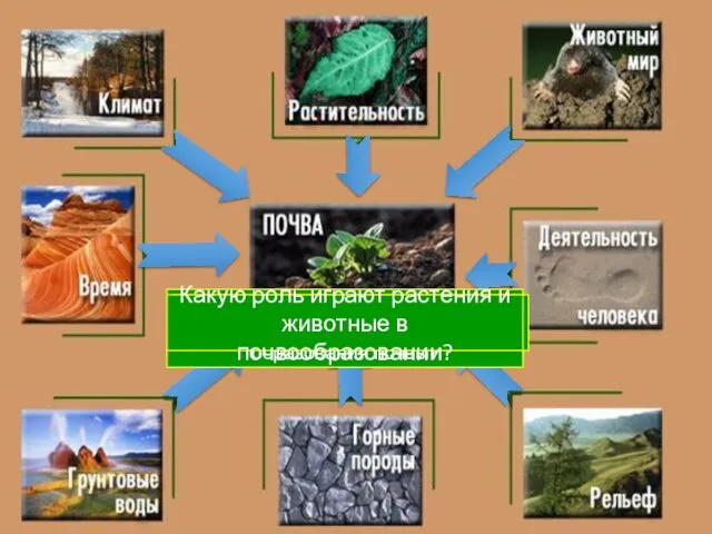 С чего начинается образование почвы? Какие горные породы наиболее распространены