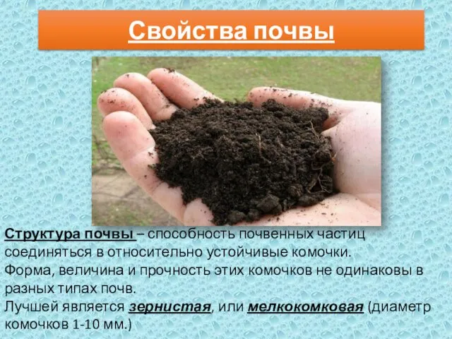 Свойства почвы Структура почвы – способность почвенных частиц соединяться в