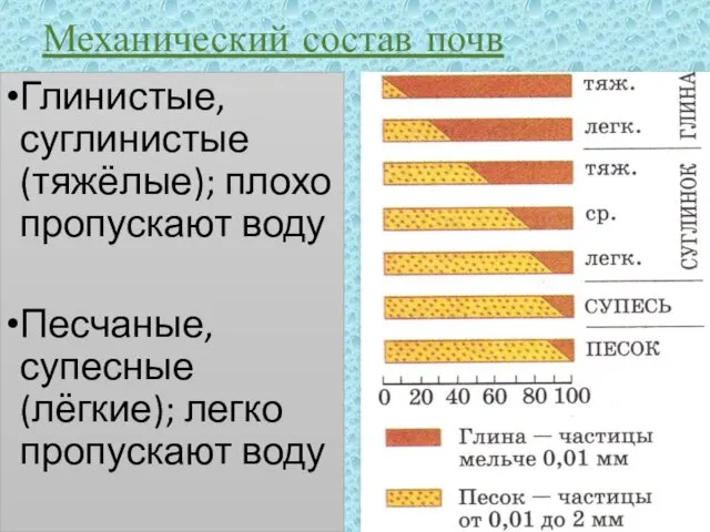 Механический состав почв Глинистые, суглинистые (тяжёлые); плохо пропускают воду Песчаные, супесные (лёгкие); легко пропускают воду