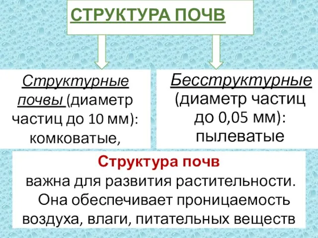 СТРУКТУРА ПОЧВ Бесструктурные (диаметр частиц до 0,05 мм): пылеватые Структурные