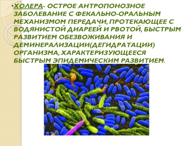 ХОЛЕРА- ОСТРОЕ АНТРОПОНОЗНОЕ ЗАБОЛЕВАНИЕ С ФЕКАЛЬНО-ОРАЛЬНЫМ МЕХАНИЗМОМ ПЕРЕДАЧИ, ПРОТЕКАЮЩЕЕ С