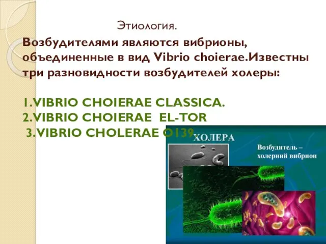 Этиология. Возбудителями являются вибрионы,объединенные в вид Vibrio choierae.Известны три разновидности