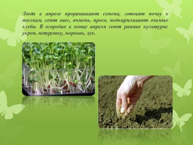 Люди в апреле проращивают семена, готовят почву к посевам, сеют