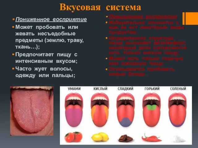 Вкусовая система Пониженное восприятие Может пробовать или жевать несъедобные предметы