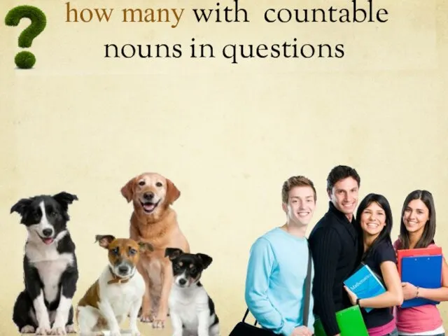 how many with countable nouns in questions How many students are there? How