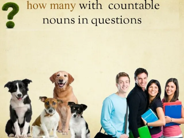 how many with countable nouns in questions How many students