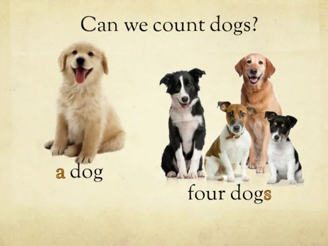 a dog Can we count dogs? four dogs