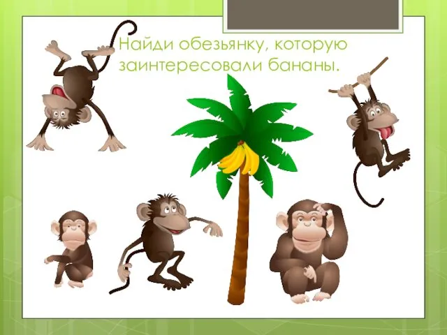 Найди обезьянку, которую заинтересовали бананы.