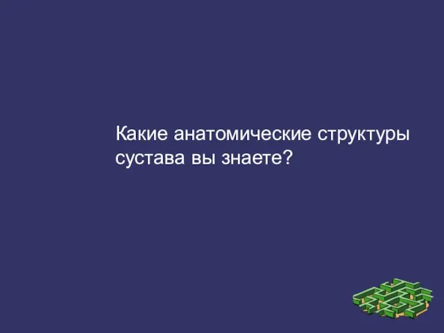 Какие анатомические структуры сустава вы знаете?