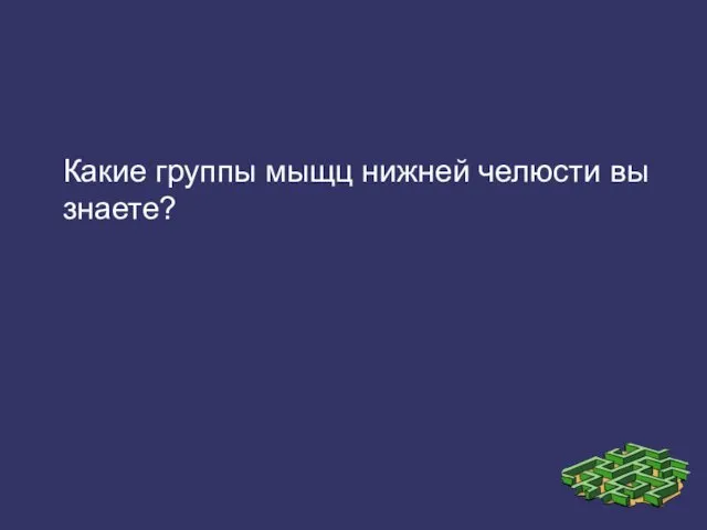 Какие группы мыщц нижней челюсти вы знаете?