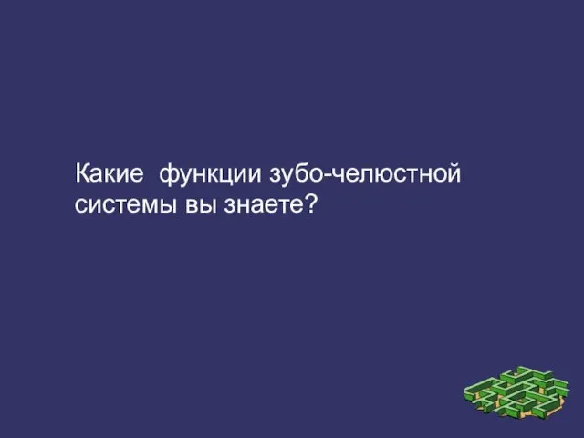 Какие функции зубо-челюстной системы вы знаете?