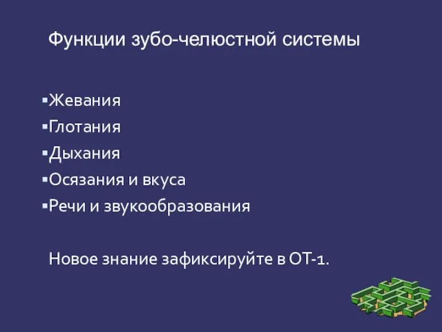 Функции зубо-челюстной системы Жевания Глотания Дыхания Осязания и вкуса Речи и звукообразования Новое