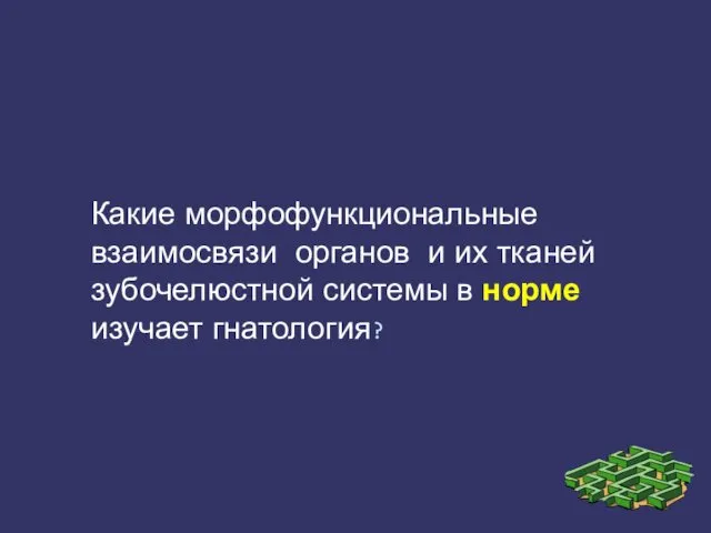 Какие морфофункциональные взаимосвязи органов и их тканей зубочелюстной системы в норме изучает гнатология?