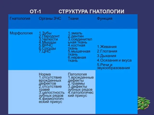 ОТ-1 СТРУКТУРА ГНАТОЛОГИИ