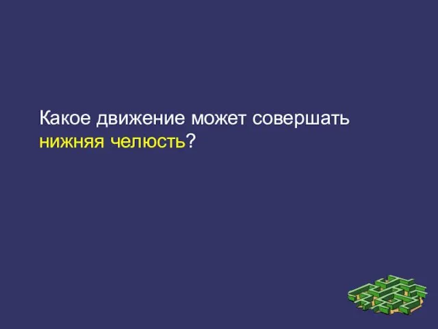 Какое движение может совершать нижняя челюсть?