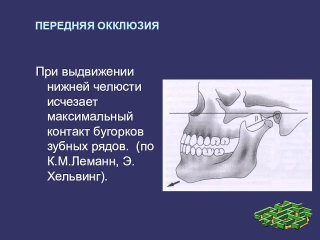 ПЕРЕДНЯЯ ОККЛЮЗИЯ При выдвижении нижней челюсти исчезает максимальный контакт бугорков зубных рядов. (по К.М.Леманн, Э.Хельвинг).